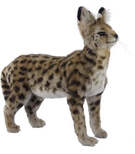 Amazon.co.jp: BH7373 HANSA サーバルキャット 44 : おもちゃ
