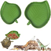 爬虫類　水 エサ入れ　20 Amazon | 爬虫類 水入れ 餌入れ 食器 餌 自動給水器 エサ入れ