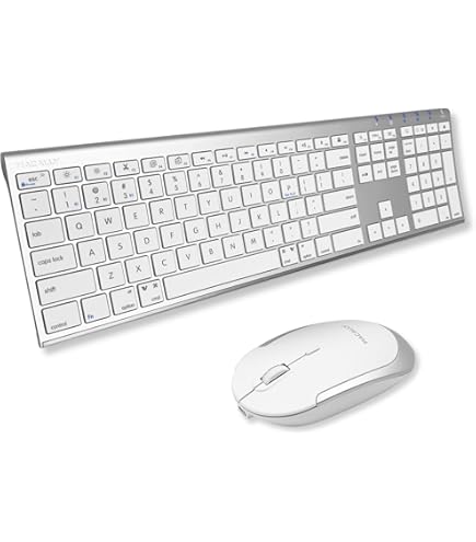 Apple Wireless Keyboard (M9270LL/A) [OLD VERSION] : Amazon.sg