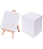 Amazon | ペベオ(Pebeo) 側面にも描ける 3D張りキャンバス