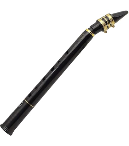 Amazon | Sax on the go、サクソフォン/ハーモニカハイブリッド