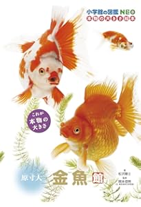 金魚 (小学館の図鑑NEO POCKET 14) | 松沢 陽士, 松沢 陽士