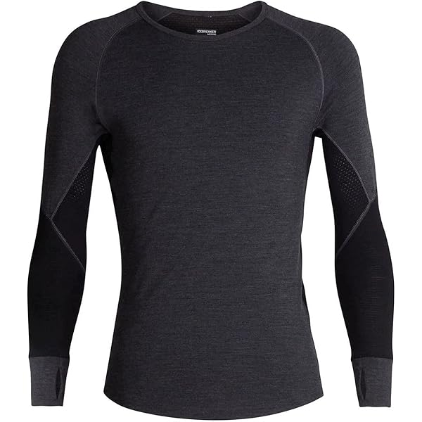 Amazon.co.jp: Icebreaker Merino メンズ 260 Tech 長袖クルーベース