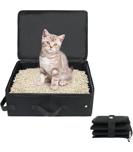 猫用トイレとキャリーバッグセット 猫用トイレとキャリーバッグセット 楽天市場】【期間限定P3倍
