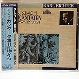 �J���^�[�^�W11