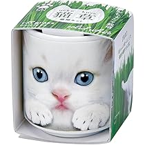 ねこ様　ご注文商品 Amazon.co.jp: 聖新陶芸 おちょこで猫草 白 サイズ：約φ4.3 H4.8