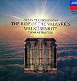 �����L���[���̋R�s�`�X�y�N�^�N���E�I���K��