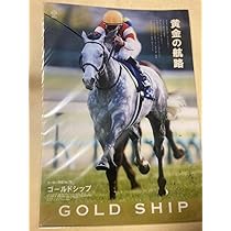 JRA ステイゴールド クリアファイル ヒーロー列伝49 競馬 JRA ステイゴールド クリアファイル ヒーロー列伝49