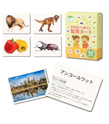 Amazon.co.jp: NOVA KIDS NAVI フラッシュカード HOPPY 1～6 STEPPY 1
