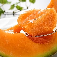 【先行予約】 香り豊かな 北海道レッドメロン 1.3kg×2玉(2025年7月下旬発送予定) 【 果物 くだもの フルーツ メロン 赤肉 赤肉メロン 旬 お取り寄せ 甘い 北海道産 旭川市 北海道 】_04540