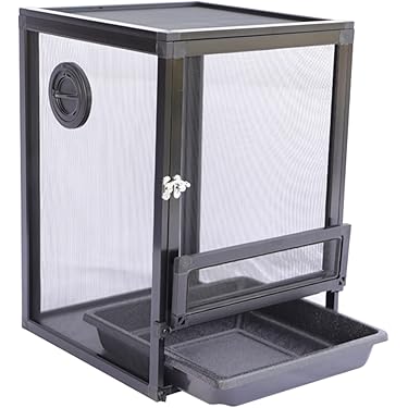 Amazon.co.jp ほしい物ランキング: 爬虫類・両生類用品 で、ほしい物