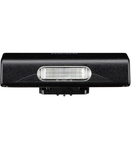 Amazon | Ricoh GR IV用コンパクトフラッシュ | フラッシュ・ストロボ 通販