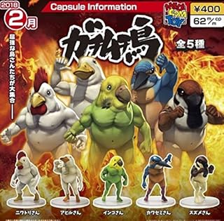 ガチャガチャ ガチムチ鳥 はマッチョ 鳥で見事な筋肉が魅力的 全5種類 インコ生活 飼い方 育て方の総合情報サイト