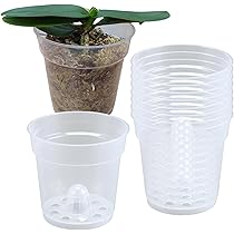 ★鉢つき★直接お引き取り★ 614hELrCRjL._AC_UL210_SR210,