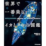 世界で一番美しいイカとタコの図鑑