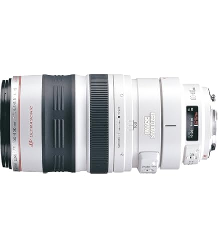 Amazon.co.jp: SIGMA 単焦点望遠レンズ APO 300mm F2.8 EX DG HSM 