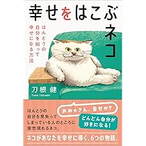あなたに幸せ呼ぶ光の天使猫 614jcTmNXXL._AC_UL210_SR210,