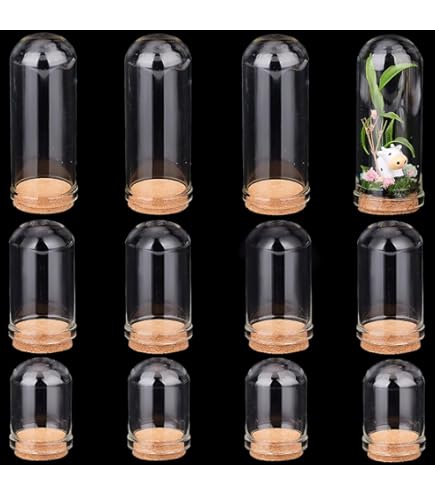 Amazon.co.jp: SUNNYCLUE 1箱10個 70mm ガラス ドーム ガラス瓶 容器