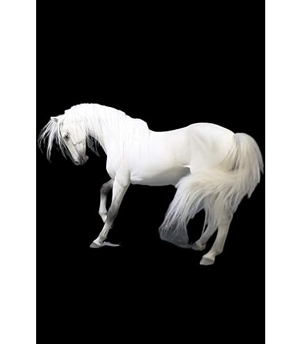 リアル BIGサイズ 馬 シャイヤー 輓馬 フィギュア リアル BIGサイズ 馬