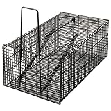 ブラック・角型ハウス L