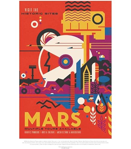 Amazon.co.jp: ポスター ライアンマッギンレー 額装品/ライアン