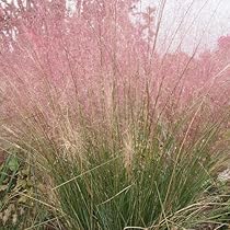 614sGvAqn0L._AC_UL210_SR210,