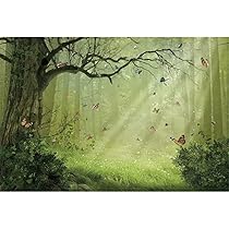 Amazon | shensu ビニール 10x8フィート 森の風景 写真 背景 神秘的な