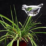 1本のクリエイティブなバード形クリアガラス自己灌漑ガーデンスプリンクラー植物灌漑ツールの自動給水