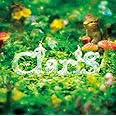 CheerS(初回生産限定盤)(DVD付)