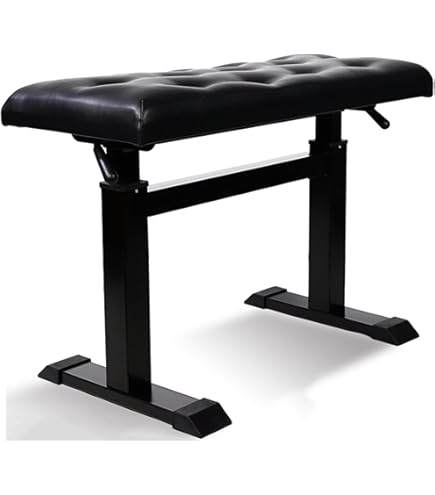 Amazon | ピアノ椅子 油圧式 Hydraulicタイプ AH-2BS | ベンチ | 楽器