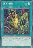 遊戯王 SUB1-JP040 捕食活動 (日本語版 ノーマルパラレル) SECRET UTILITY BOX