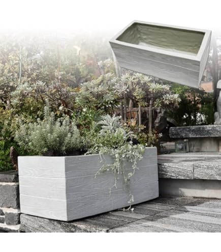 Amazon.co.jp: 20枚 ポットレスコンテナ230 24穴 5.5cm 容量230cc 阪中