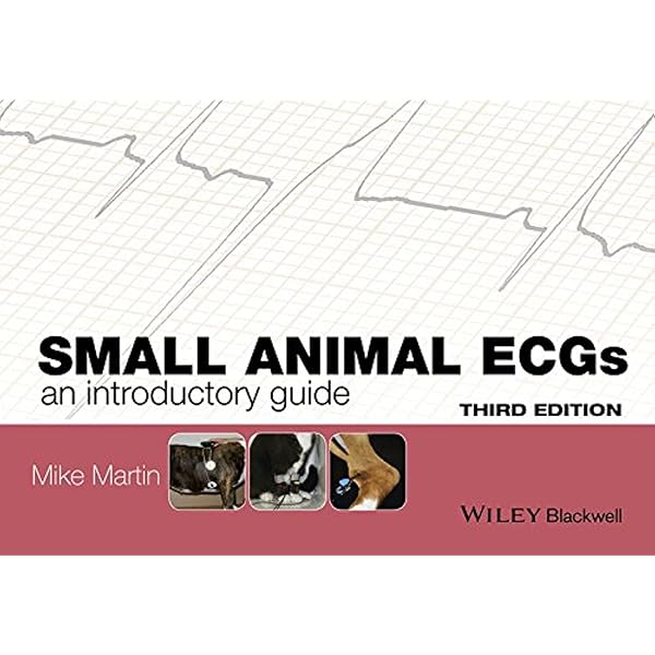 Amazon.co.jp: Atlas of Small Animal Ultrasonography 2E : 本