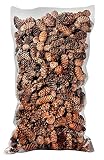 SuperMoss (24512) Black Spruce Pine Cones, 19-Ounce, Brown [並行輸入品]