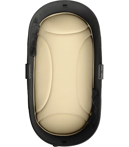 Amazon.co.jp: AIRBUGGY DOME3 C-COREMAT LARGE DIM GREY AD9223
