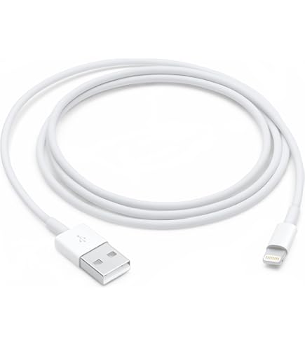 Apple USB-C 30W Power Adapter & ケーブル Apple 30W USB-C電源アダプタ」の人気商品一覧 | 安い商品を通販サイト