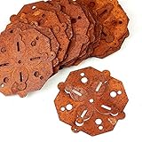 パッケージの50 Rusty Tinの八角形寸法Snowflakes Holiday Crafting and Embellishing