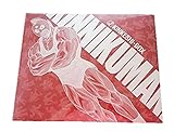 キン肉マン 復刻版 キンケシ 肌色 全418体　(コンプリートBOX 完全限定生産版特典)