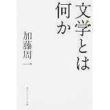 文学とは何か (角川ソフィア文庫)