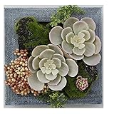 Aeon Hum 3D 人工 トピアリー 植物 壁装飾 多肉植物 木製アートフレームと壁掛け付き（小型のウォールディスプレイフォトフレーム） XY-077 グリーン