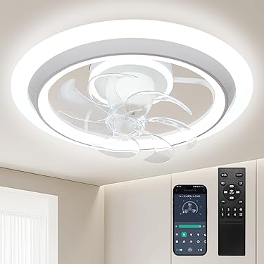 Amazon.co.jp 売れ筋ランキング: シーリングファンライト の中で最も