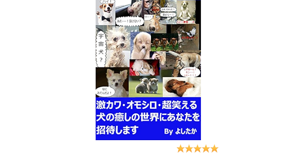 激カワ オモシロ 超笑える犬の癒しの世界にあなたを招待します たかよし 写真 Kindleストア Amazon