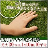 Liebe【リーベ】 人工芝 芝丈20mm 1m×10m 10平米 『パークシア・エコノミー』