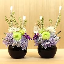 61560-h1veL._AC_UL210_SR210,