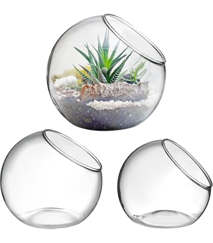 Amazon.co.jp: Milisten 3個 ガラス テラリウム 植物用 卓上 グローブ