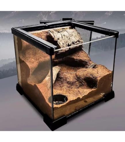 ガラスショーケース 昭和ネオラック 観葉植物 爬虫類 クワガタ 引取り限定 ガラスショーケース 昭和ネオラック 観葉植物 爬虫類 クワガタ