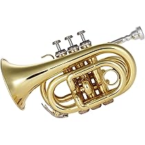 最終値下げ　ポケットトランペット マウスピース付き PREMONADO プレモナード ポケットトランペット＜ハードケース