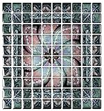 cocotik 10 " x10 " anti-moldピールとスティック壁タイル( 10 )