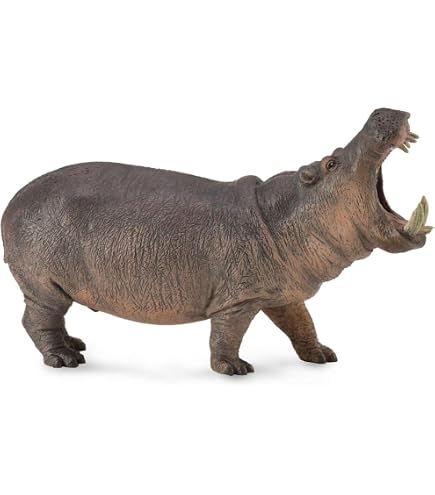 Amazon.co.jp: サファリ ワイルドライフワンダーズ カバ : おもちゃ