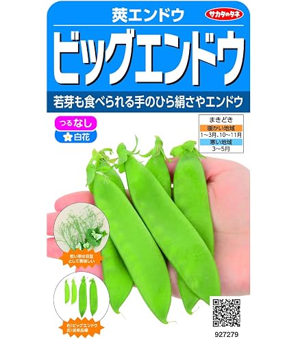 Amazon | 株式会社トーホク 仏国大さやえんどう 01269 | 野菜